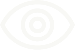Our Vision
